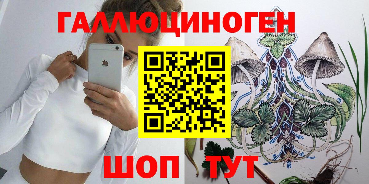 Галлюциногенные грибы GOLDEN TEACHER Кировск