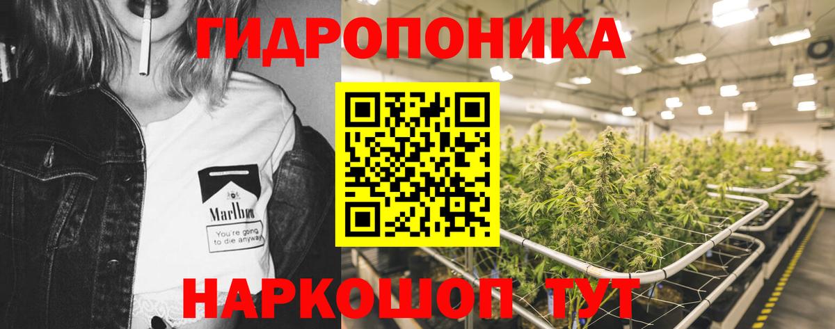 Каннабис OG Kush Кировск